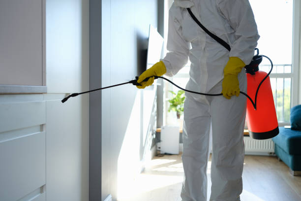 Mold Removal and Inspection in Helmetta, NJ