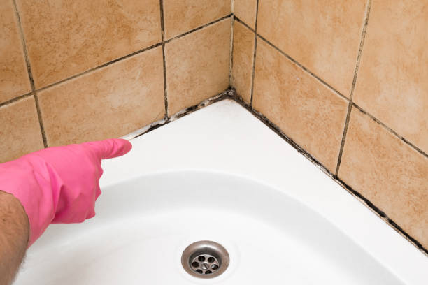 Crawl Space Mold Removal in Helmetta, NJ